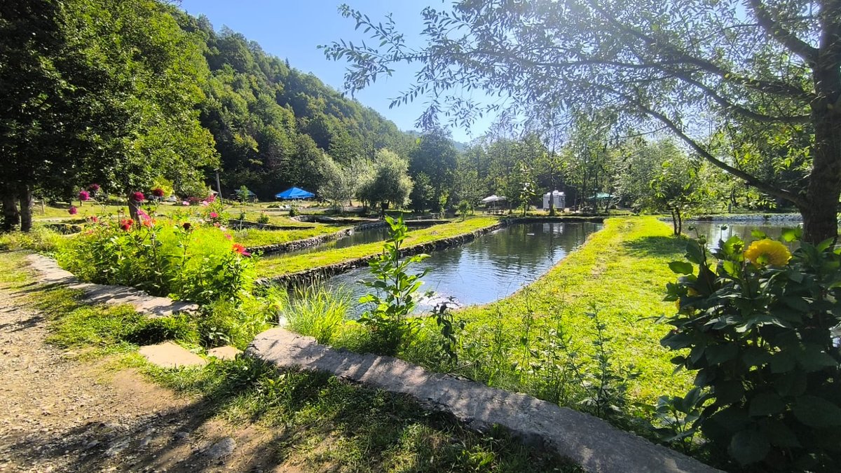 Área para campers y autocaravanas en Georgia, camping Kulbaki